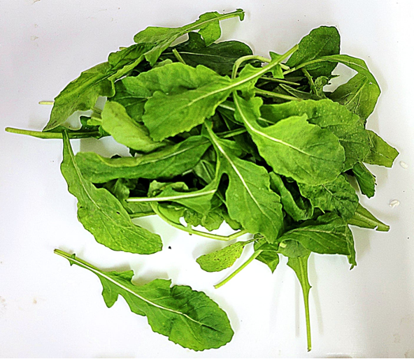 RÚGULA ROQUETTE