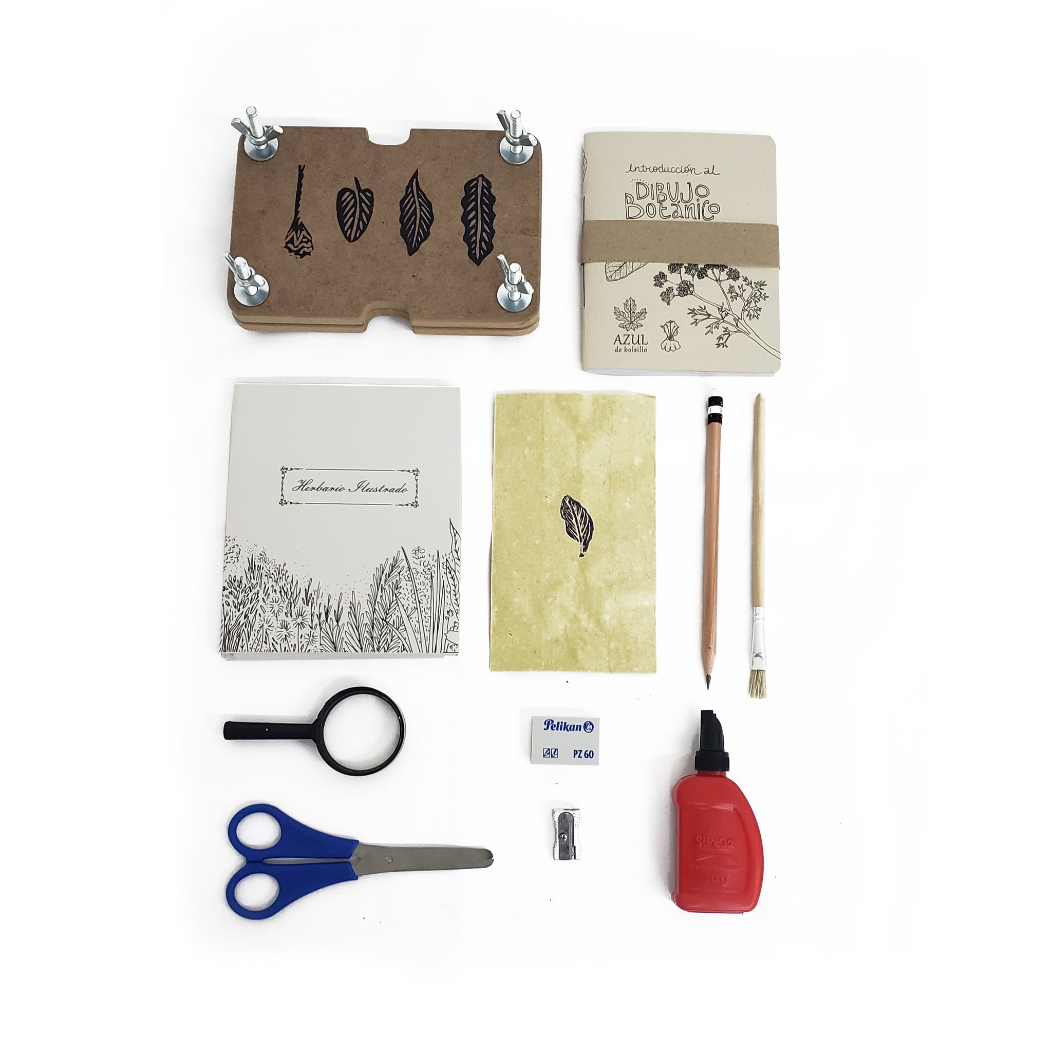 MINI KIT DE EXPLORACIÓN BOTÁNICA