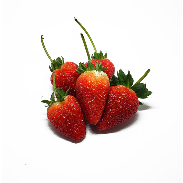 FRESA o STRAWBERRY