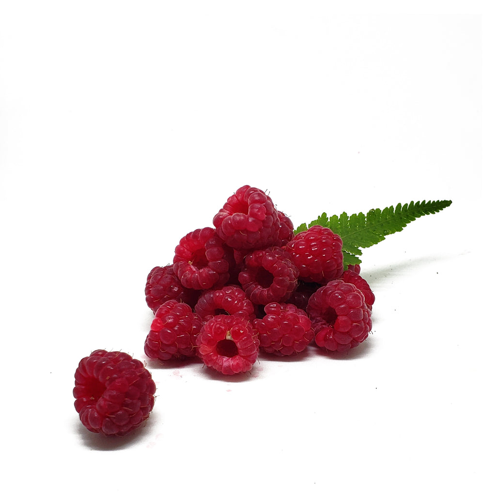 FRAMBUESA o RASPBERRY
