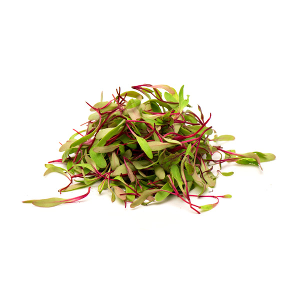 MICROBROTES DE REMOLACHA