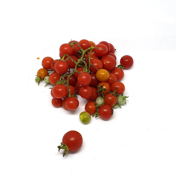 TOMATE PERLA